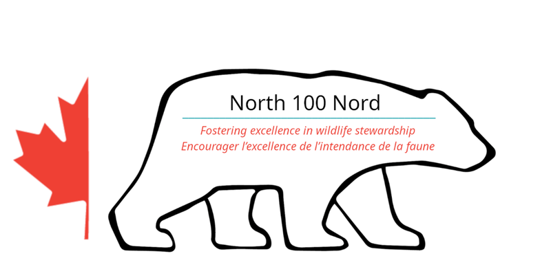 North 100 logo 2